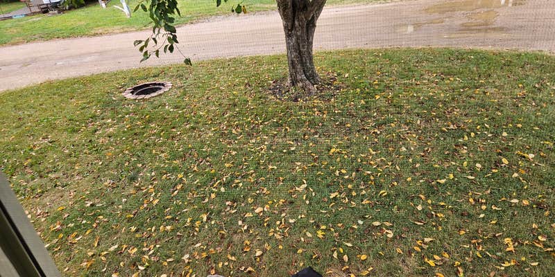 Camper submitted image from Pipestone RV Campground