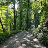 Review photo of Pisgah National Forest Dispersed by mike R., August 19, 2024