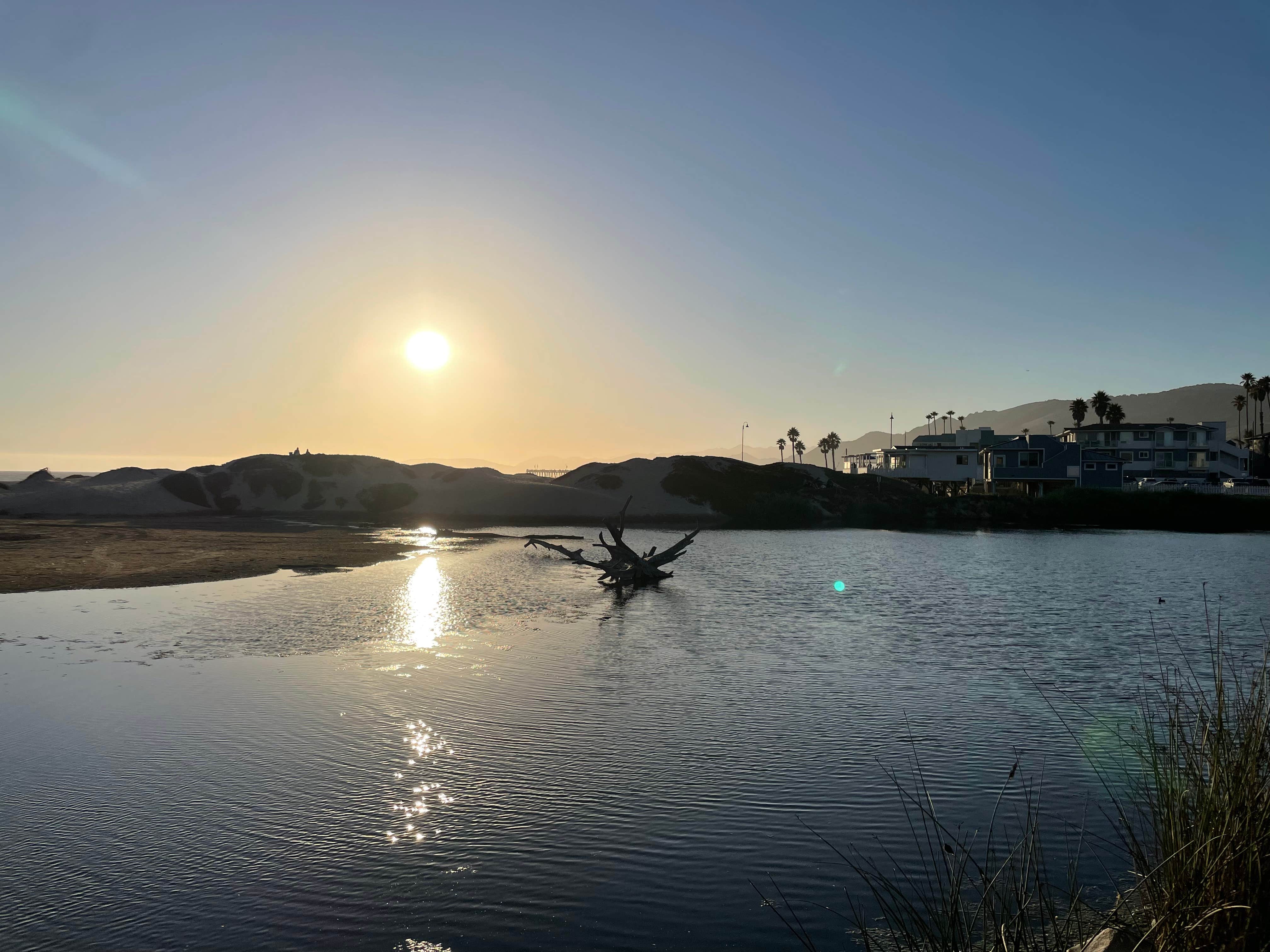 Camper-submitted photo at Pismo Coast Village RV Resort near Santa Maria, CA