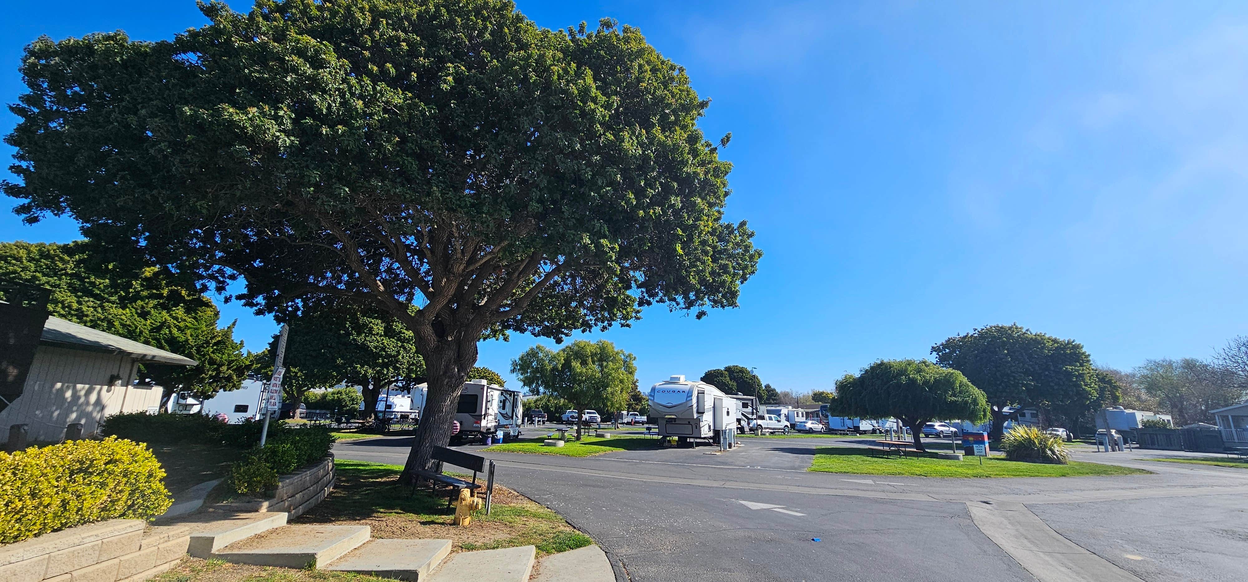 Camper-submitted photo at Pismo Sands RV Park near Avilla Beach, CA