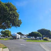 Review photo of Pismo Sands RV Park by Mike E., January 22, 2025