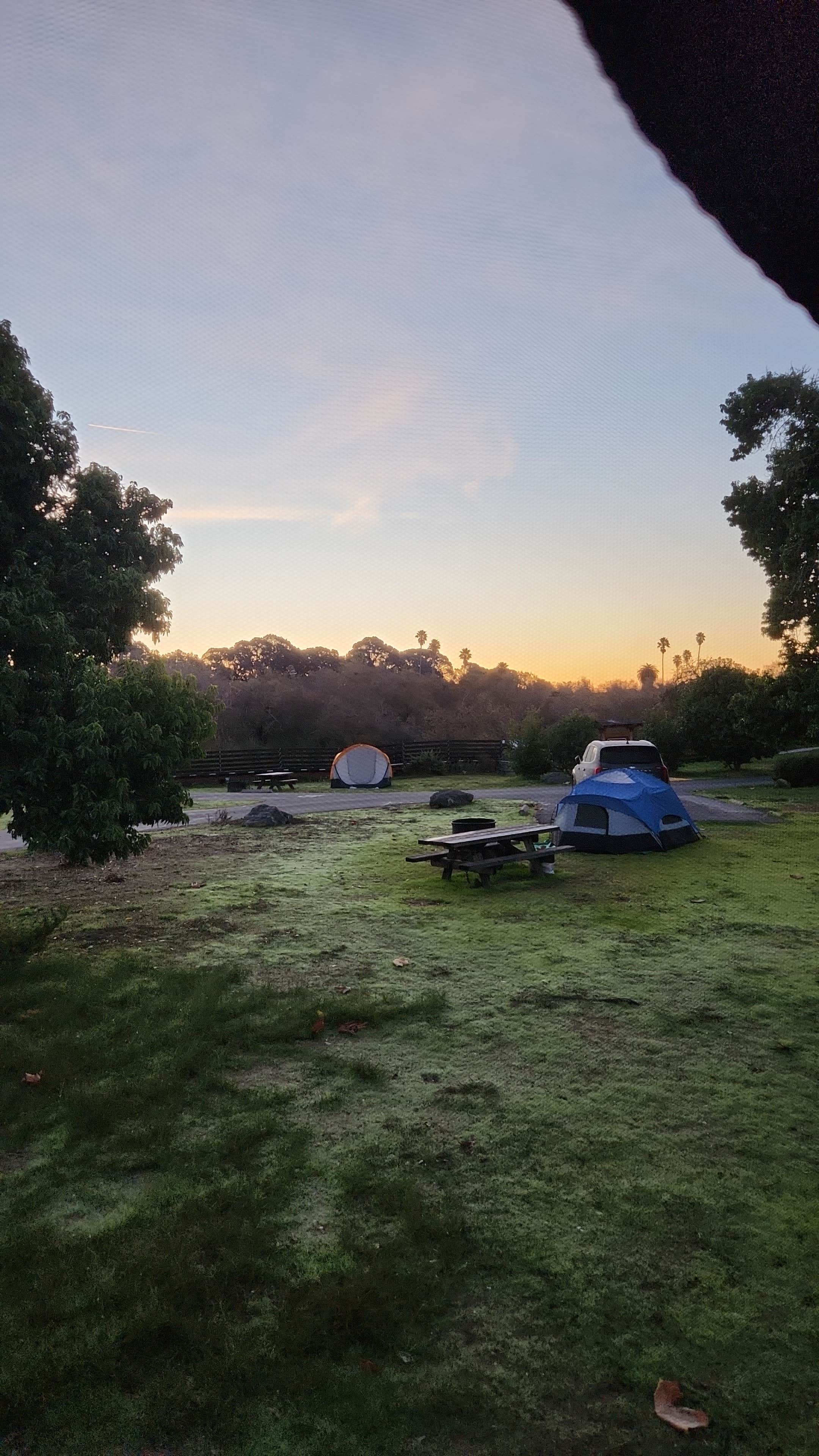 5 STAR X P.'s photo at Oceano Campground — Pismo State Beach near Guadalupe, CA
