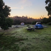 Review photo of Oceano Campground — Pismo State Beach by 5 STAR X P., January 10, 2024