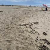 Review photo of pismo state beach by Coleen B., September 15, 2026