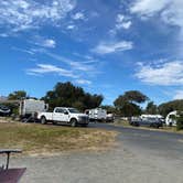 Review photo of pismo state beach by Coleen B., September 15, 2026