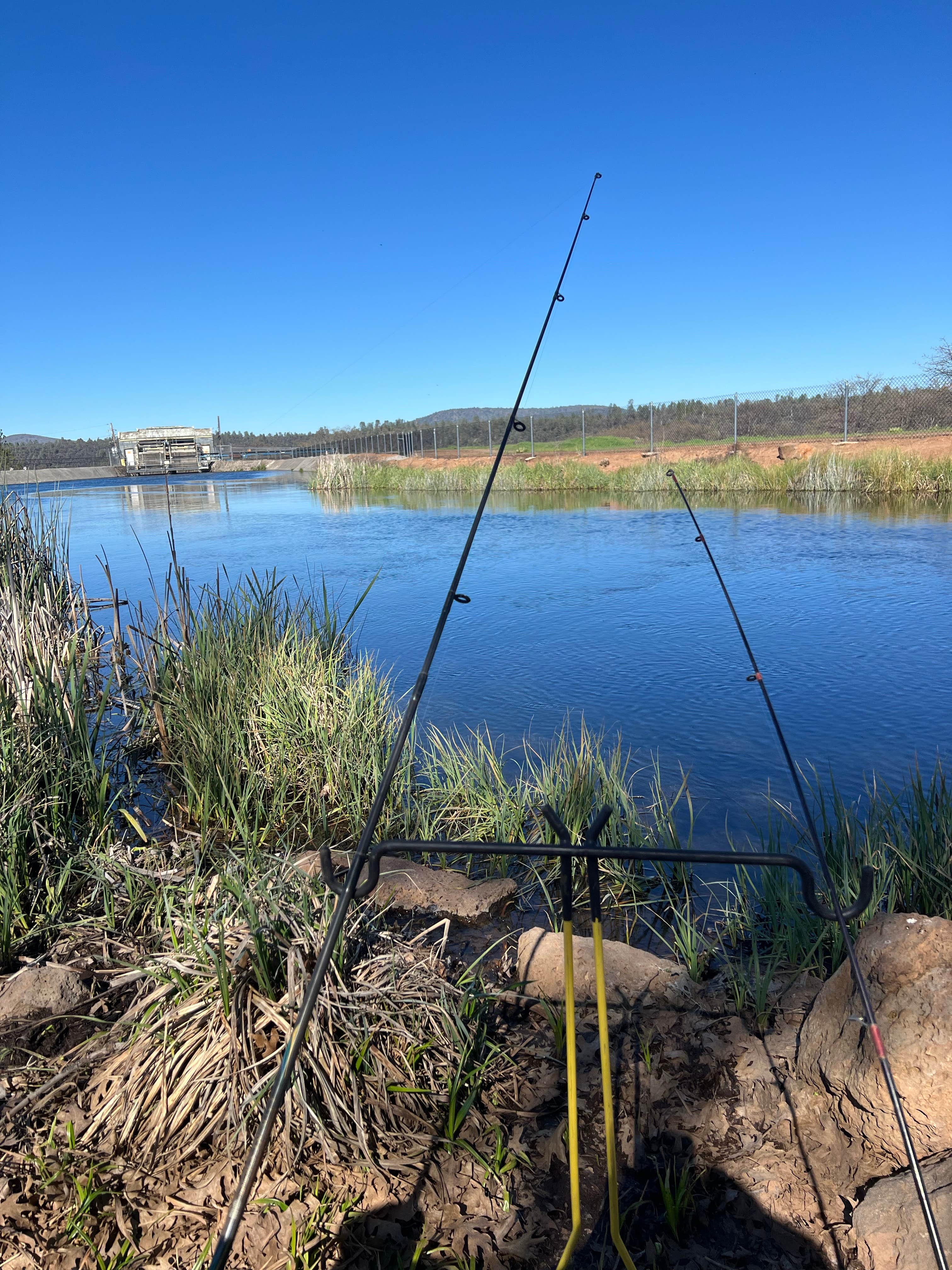 Camper submitted image from Cassel Campground - 3