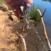 Review photo of Cassel Campground by steven M., December 21, 2025