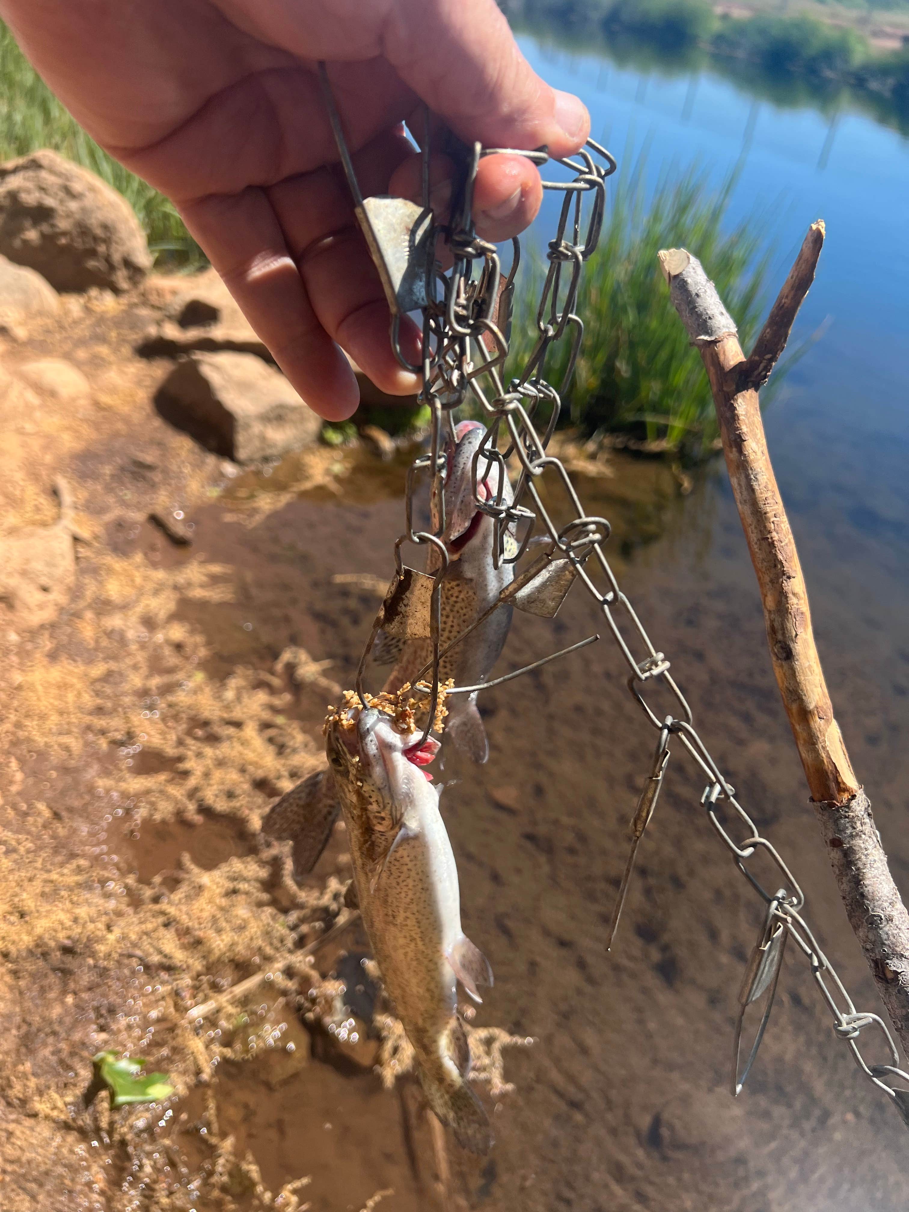 Camper submitted image from Cassel Campground - 2