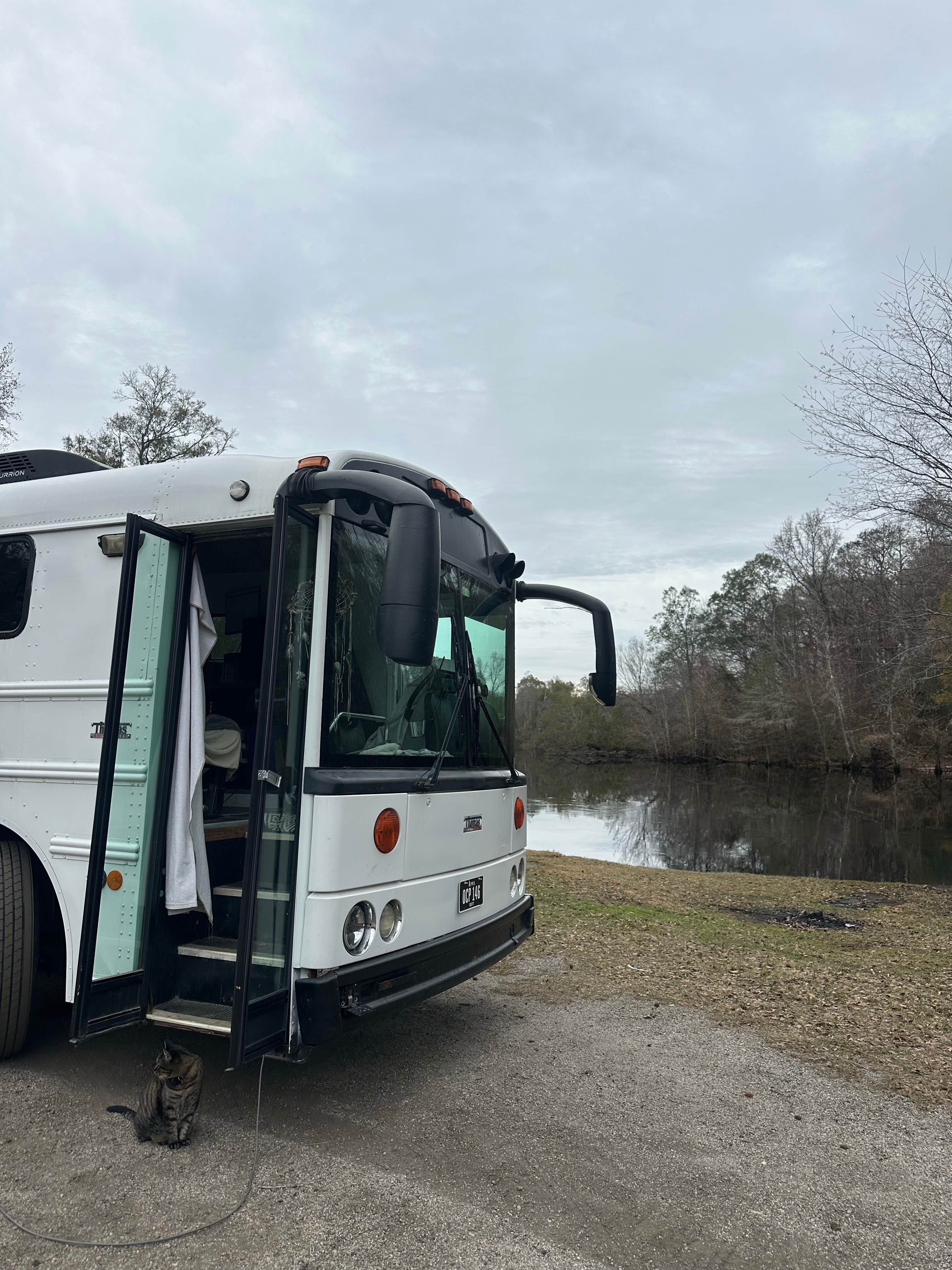 Camper-submitted photo at Pitts Landing Dispersed near Murrells Inlet, SC
