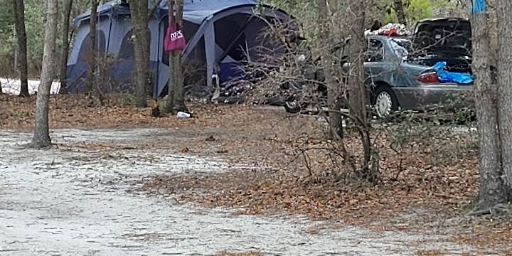 Camper submitted image from Pitts Landing Dispersed