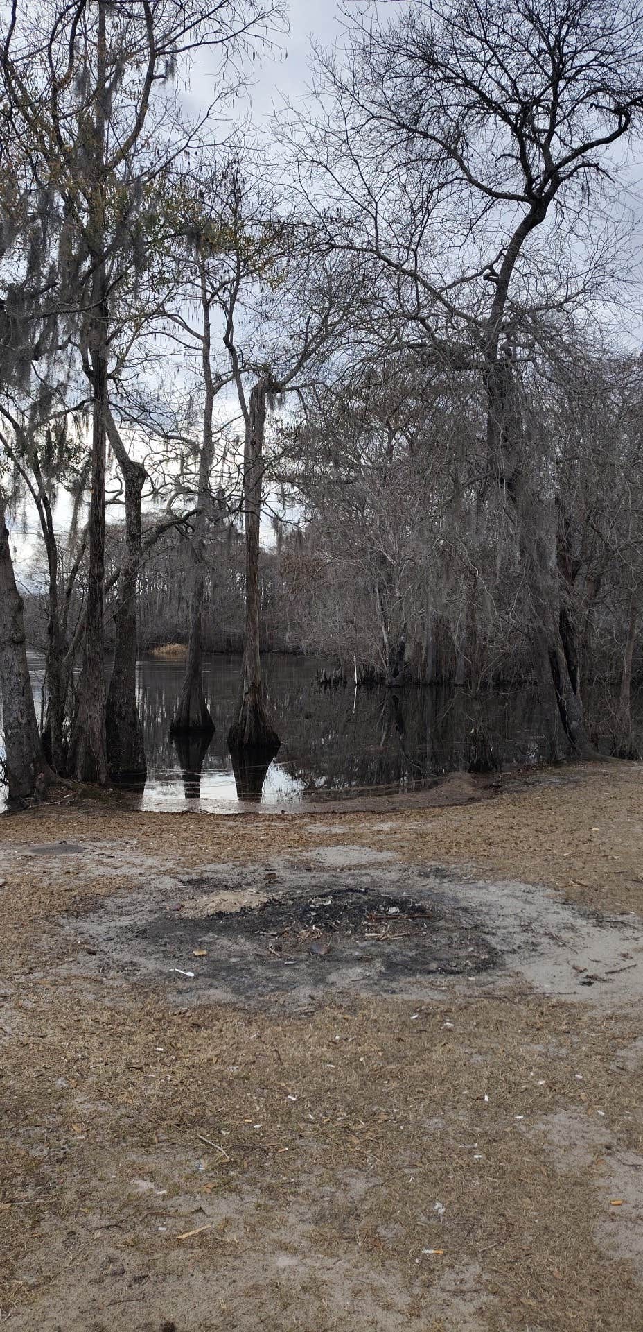 Camper-submitted photo at Pitts Landing Dispersed near Salem, SC