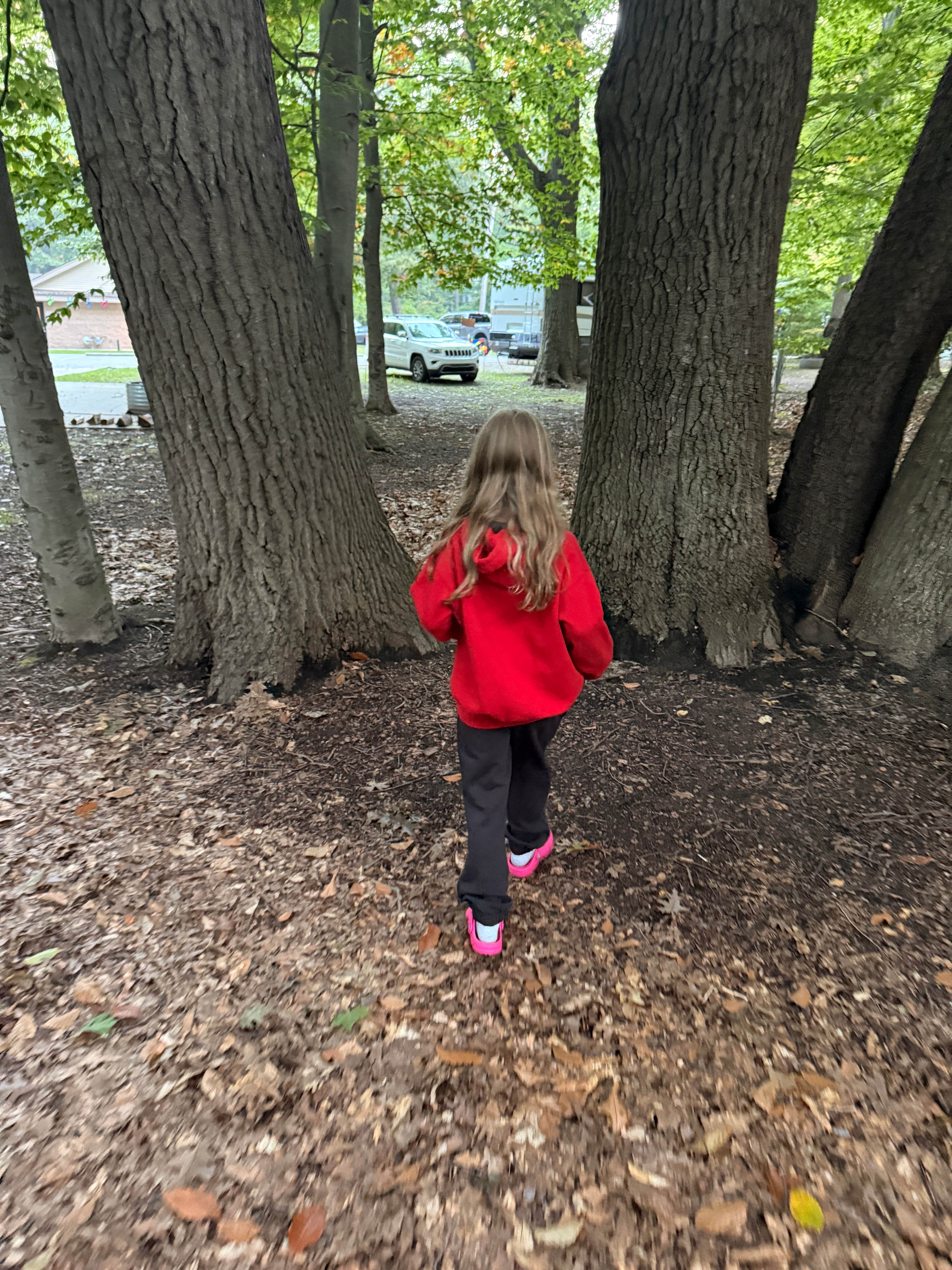 Camping near Channel Campground — Muskegon State Park: PJ Hoffmaster State Park, Norton Shores, Michigan