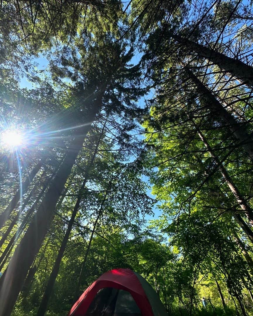 Camper-submitted photo at P.L. Graham Park & Campground (Formerly known as Chicagami Boy Scout Camp) near Avoca, MI