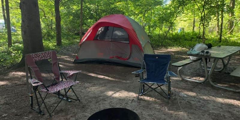 Camper submitted image from P.L. Graham Park & Campground (Formerly known as Chicagami Boy Scout Camp)