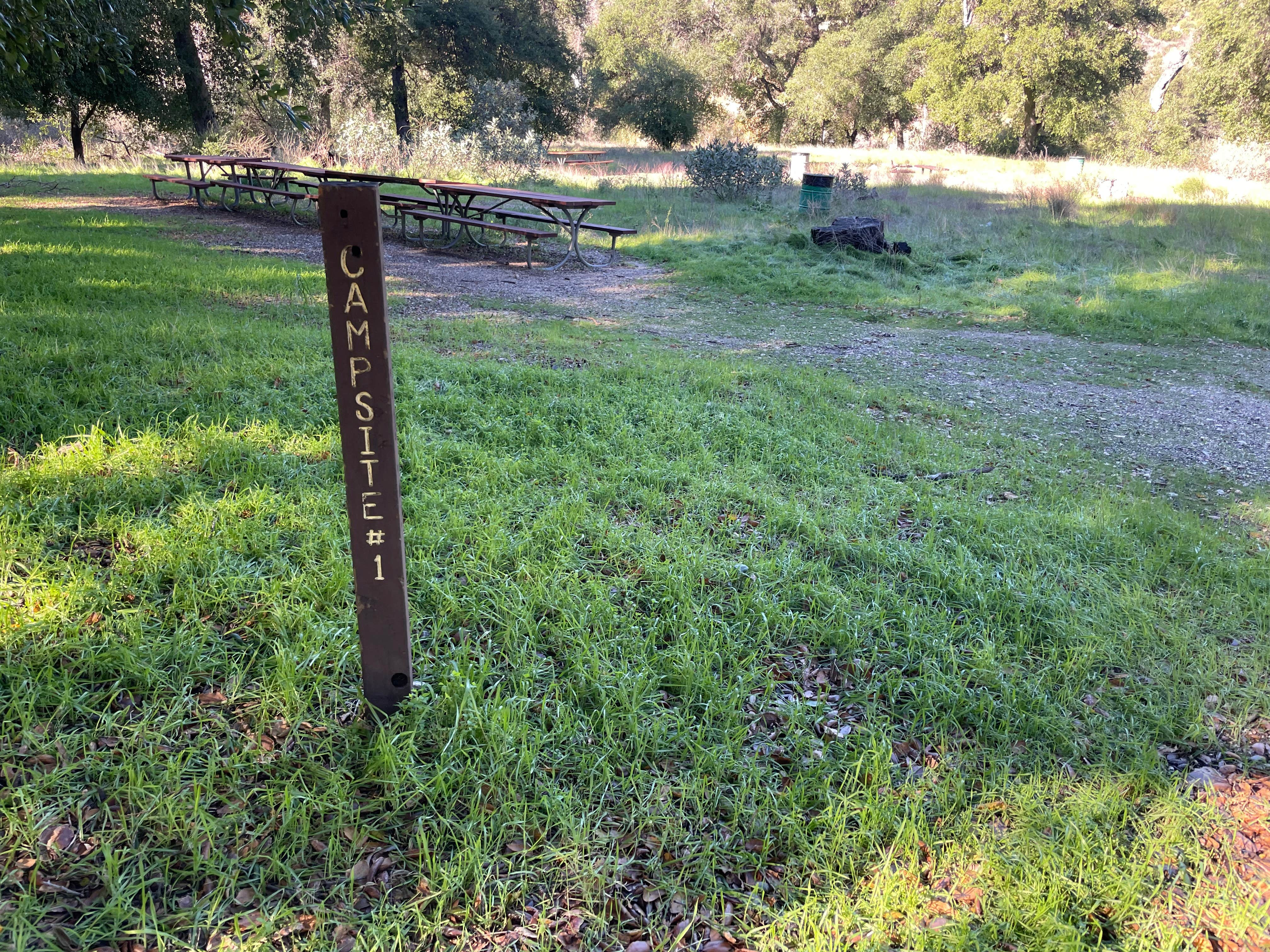 Camper submitted image from Placerita Canyon Los Pineros Trail Sites - 1