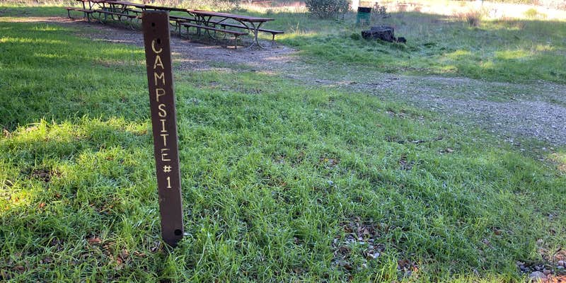 Camper submitted image from Placerita Canyon Los Pineros Trail Sites