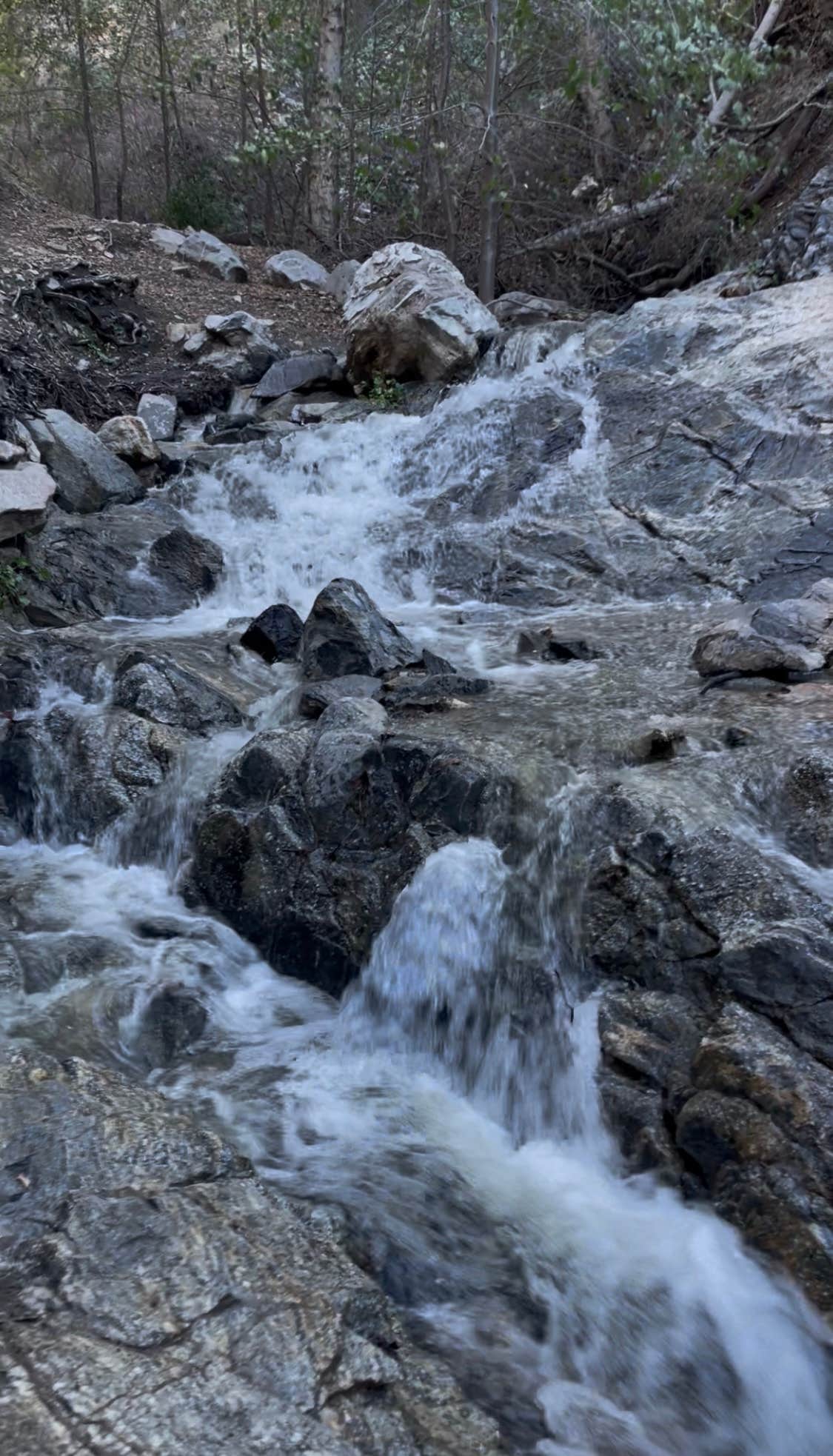 Camper-submitted photo at Placerita Canyon Los Pineros Trail Sites near Calabasas, CA