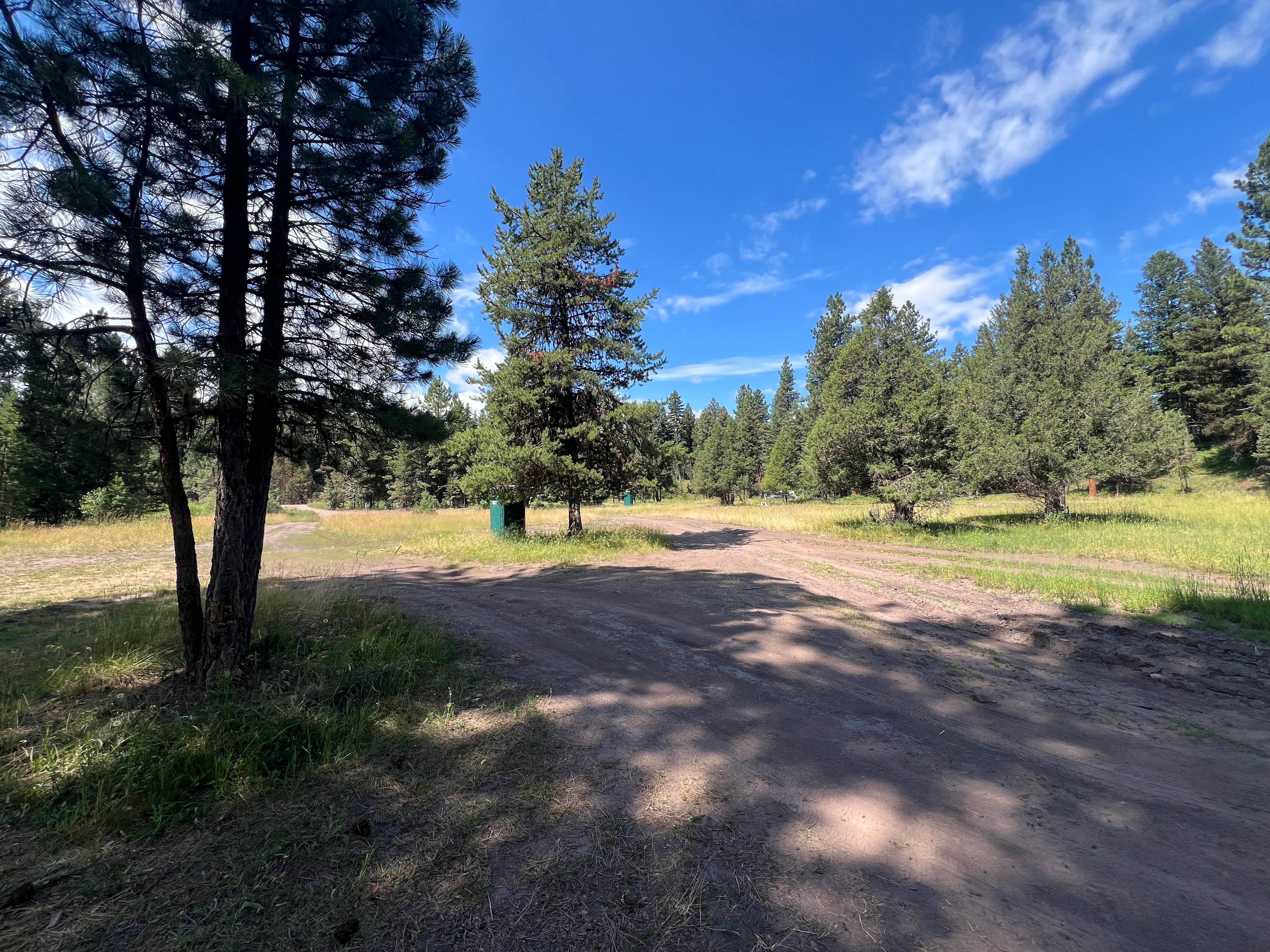 Camper-submitted photo at placid Creek Rd Camp near Ovando, MT