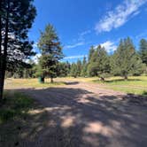 Review photo of placid Creek Rd Camp by Samuel M., July 15, 2026
