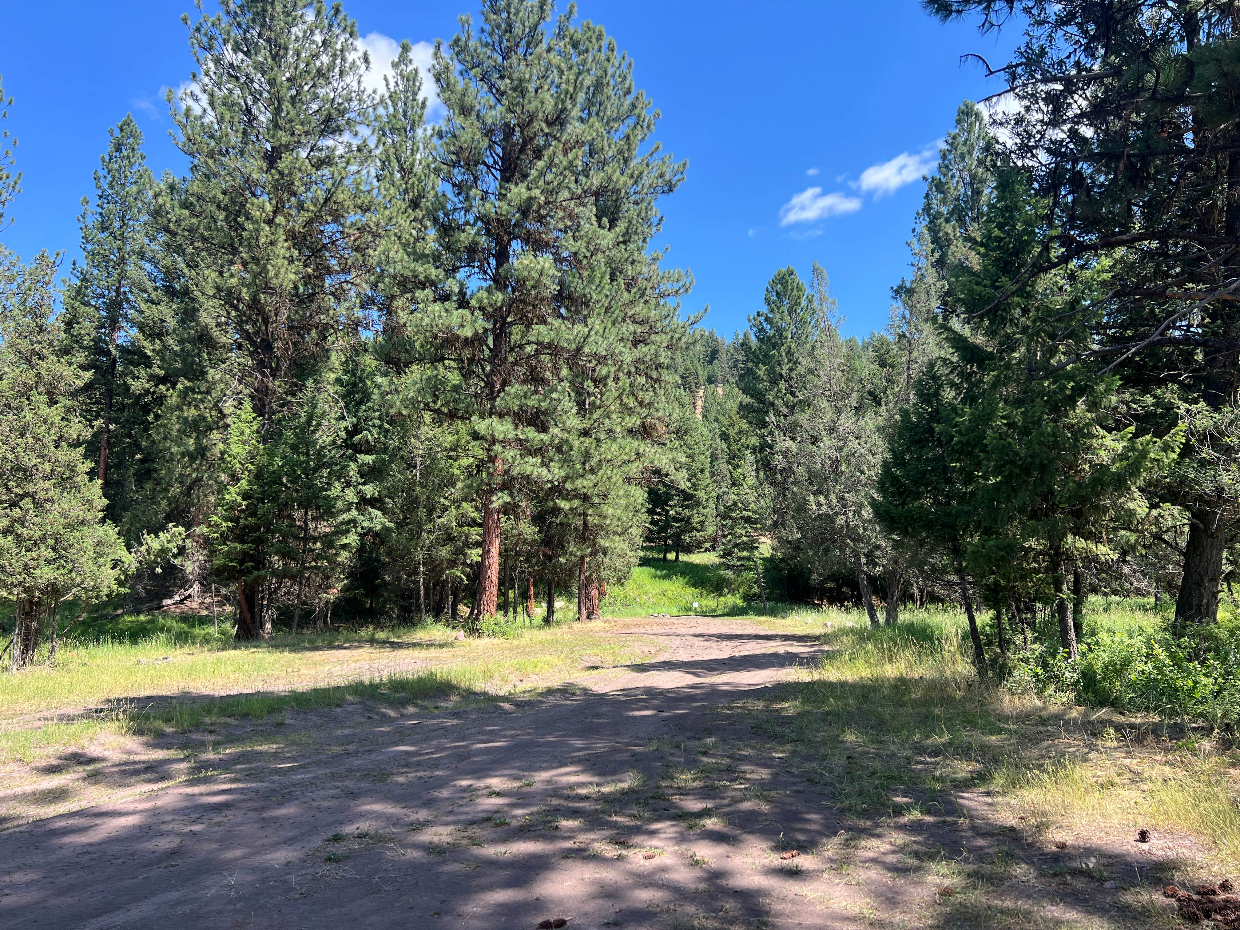 Camper-submitted photo at placid Creek Rd Camp near Ovando, MT