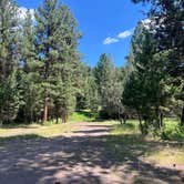 Review photo of placid Creek Rd Camp by Samuel M., July 15, 2026