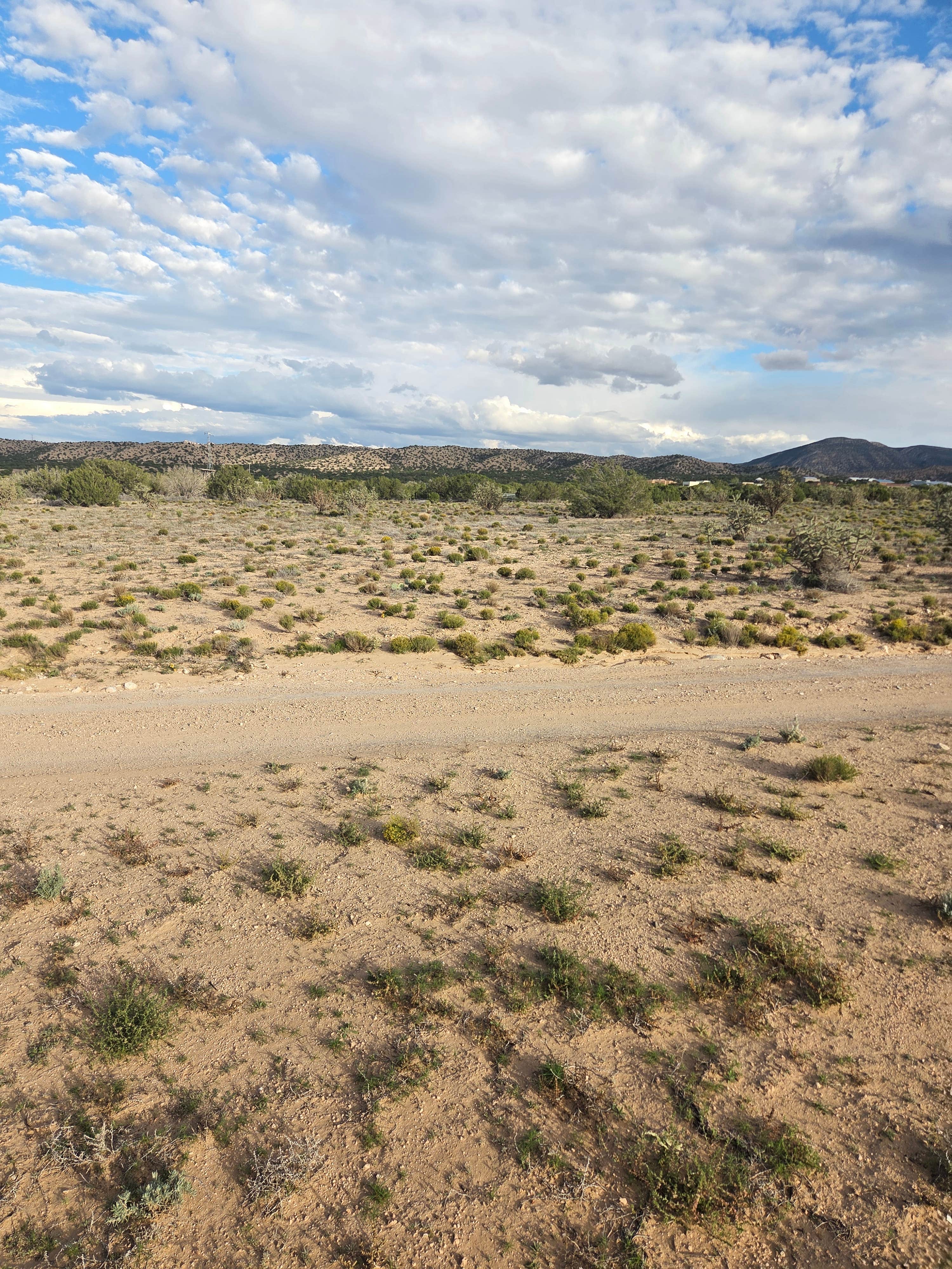 Camper-submitted photo at Placitas BLM near Monticello, NM