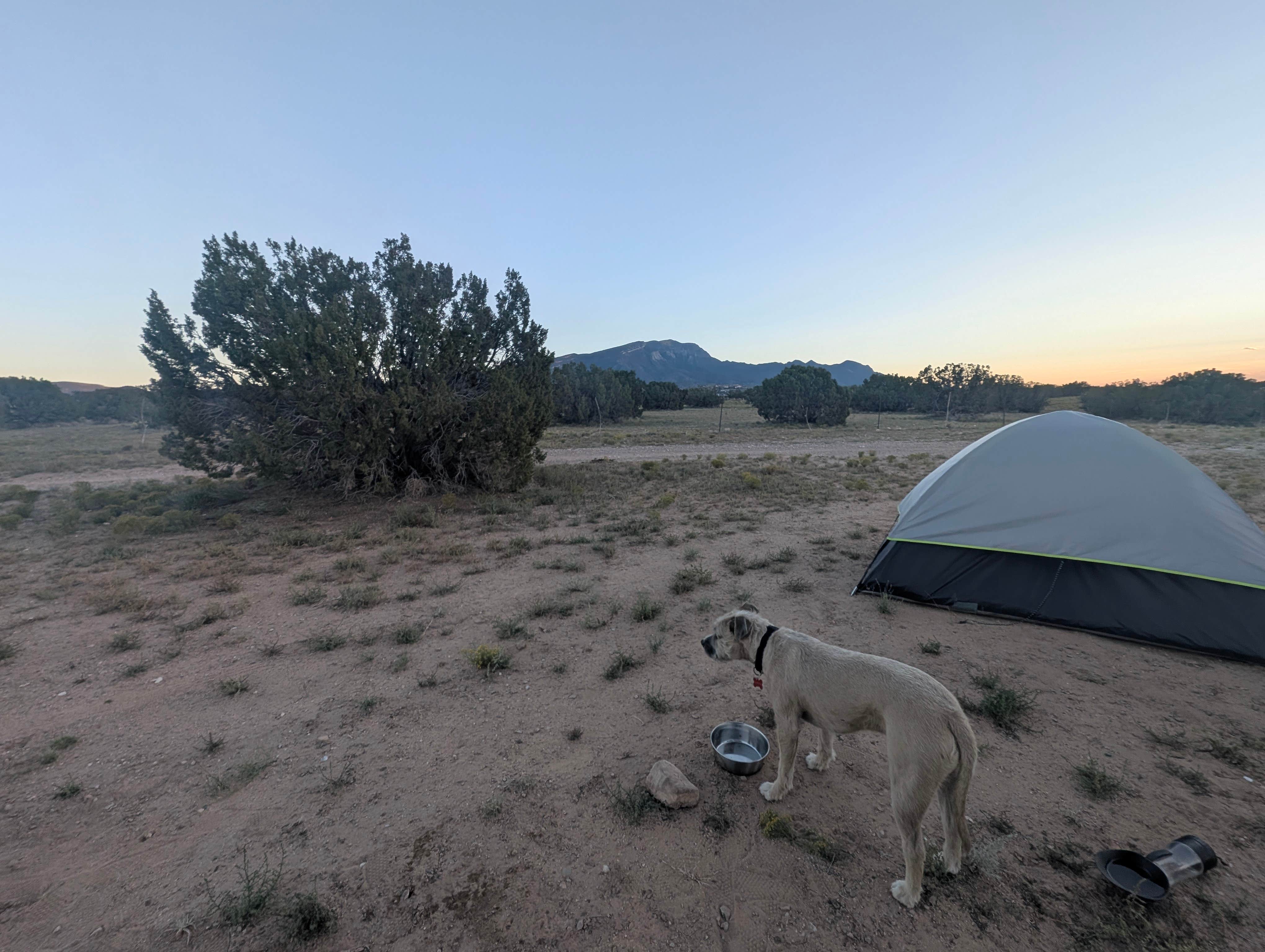 Kiran B.'s photo at Placitas BLM near Tijeras, NM