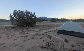 Kiran B.'s photo of a dispersed camping area at Placitas BLM near Bernalillo, NM