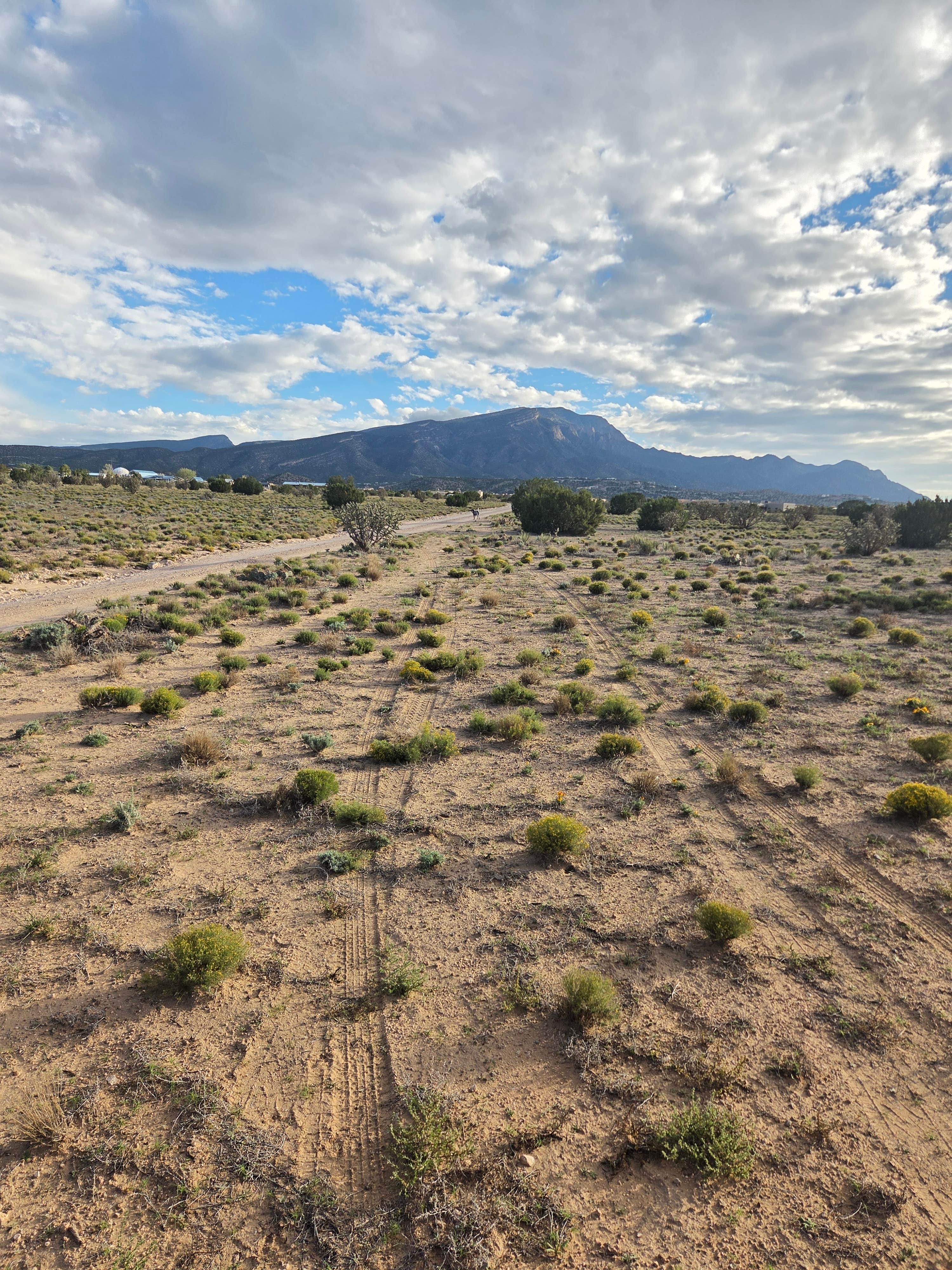 Camper-submitted photo at Placitas BLM near Monticello, NM