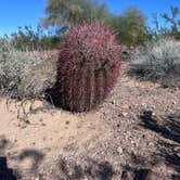 Review photo of Plomosa BLM Dispersed Camping Area by Rebecca P., January 13, 2026