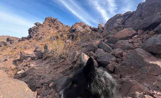 Jayne N.'s photo of camping with pets at Plamosa BLM Dispersed Camping Area near Parker Dam, CA