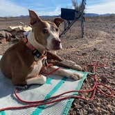 Review photo of Plamosa BLM Dispersed Camping Area by Danny T., November 30, 2024