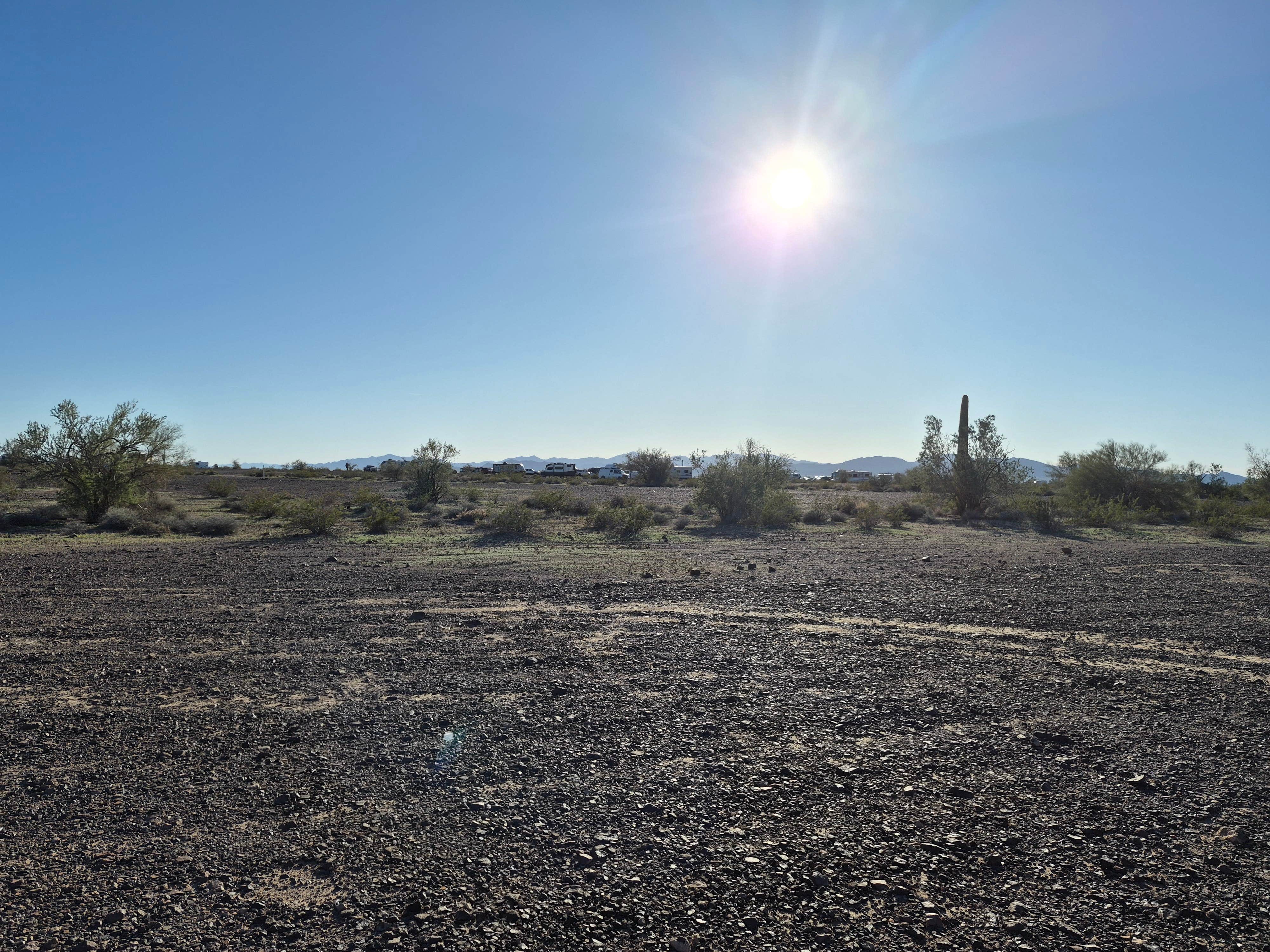 Will P.'s photo of a dispersed camping area at Plamosa BLM Dispersed Camping Area near Earp, CA