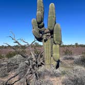 Review photo of Plomosa BLM Dispersed Camping Area by Rebecca P., January 13, 2026