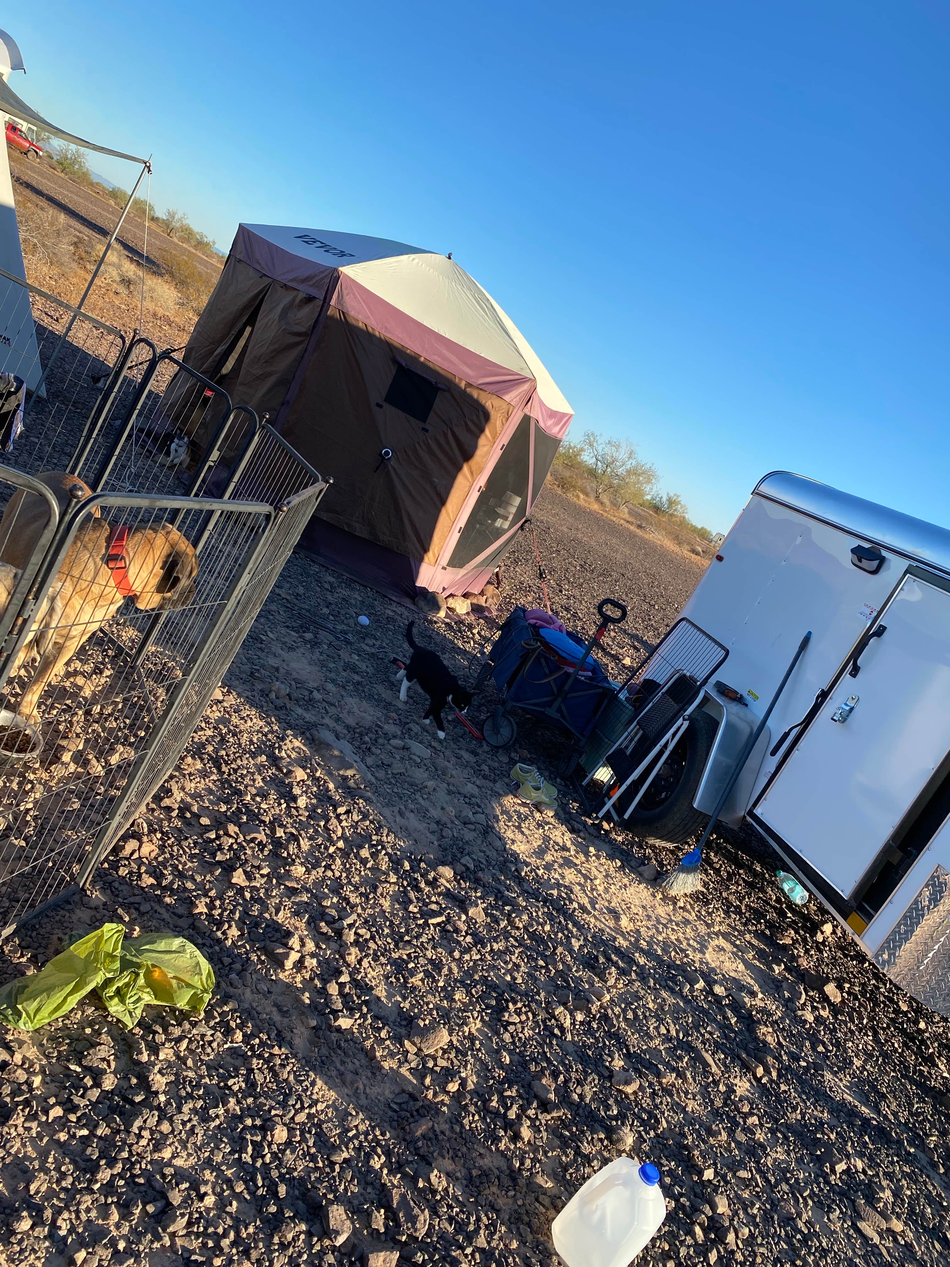 Imerie T.'s photo of camping with pets at Plamosa BLM Dispersed Camping Area near Quartzsite, AZ