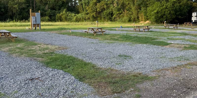 Camper submitted image from Plantation RV Trailer Park