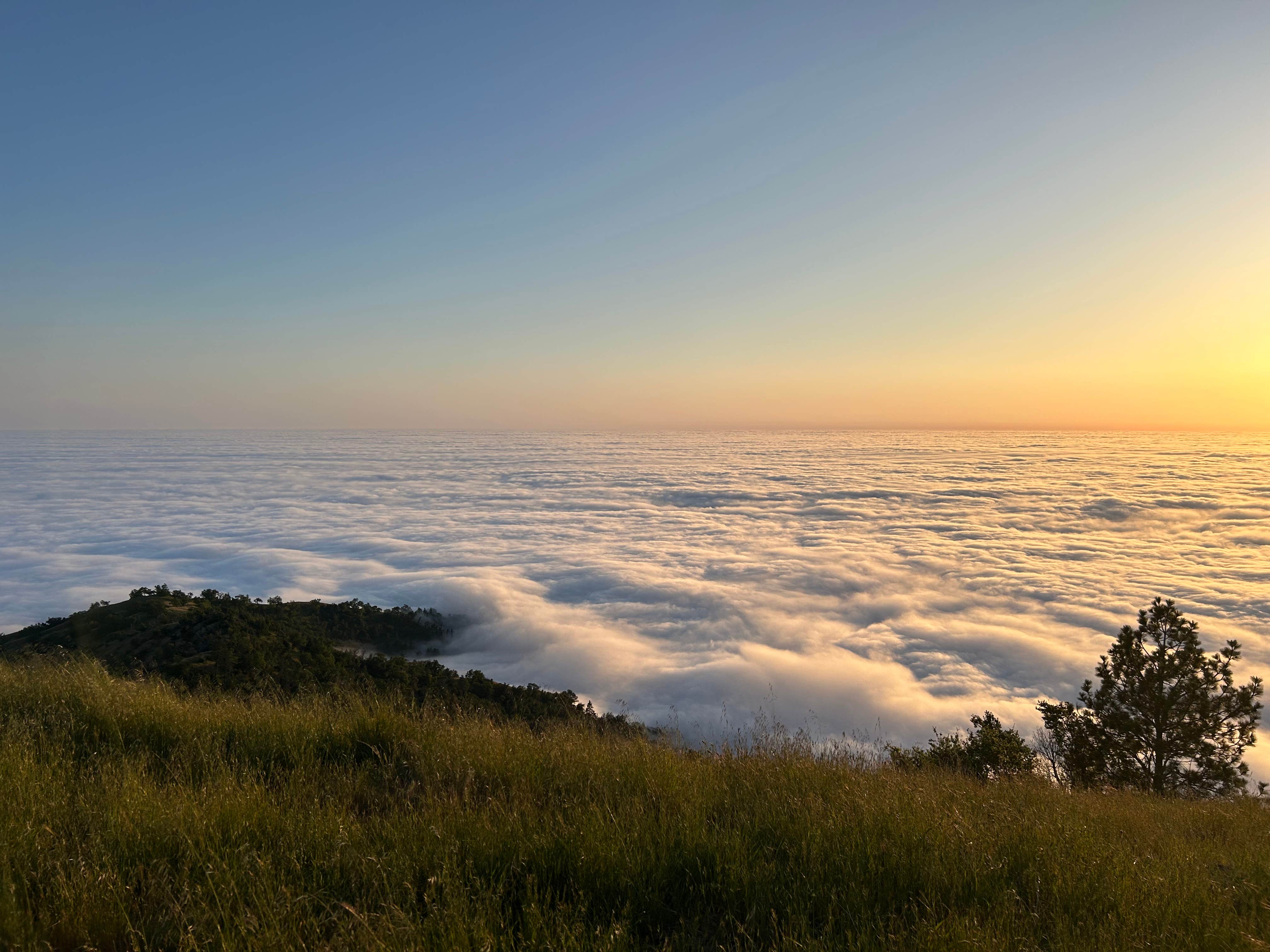 Jason S.'s photo of a dispersed camping area at Plasket Ridge Dispersed Campground near Pinnacles National Park