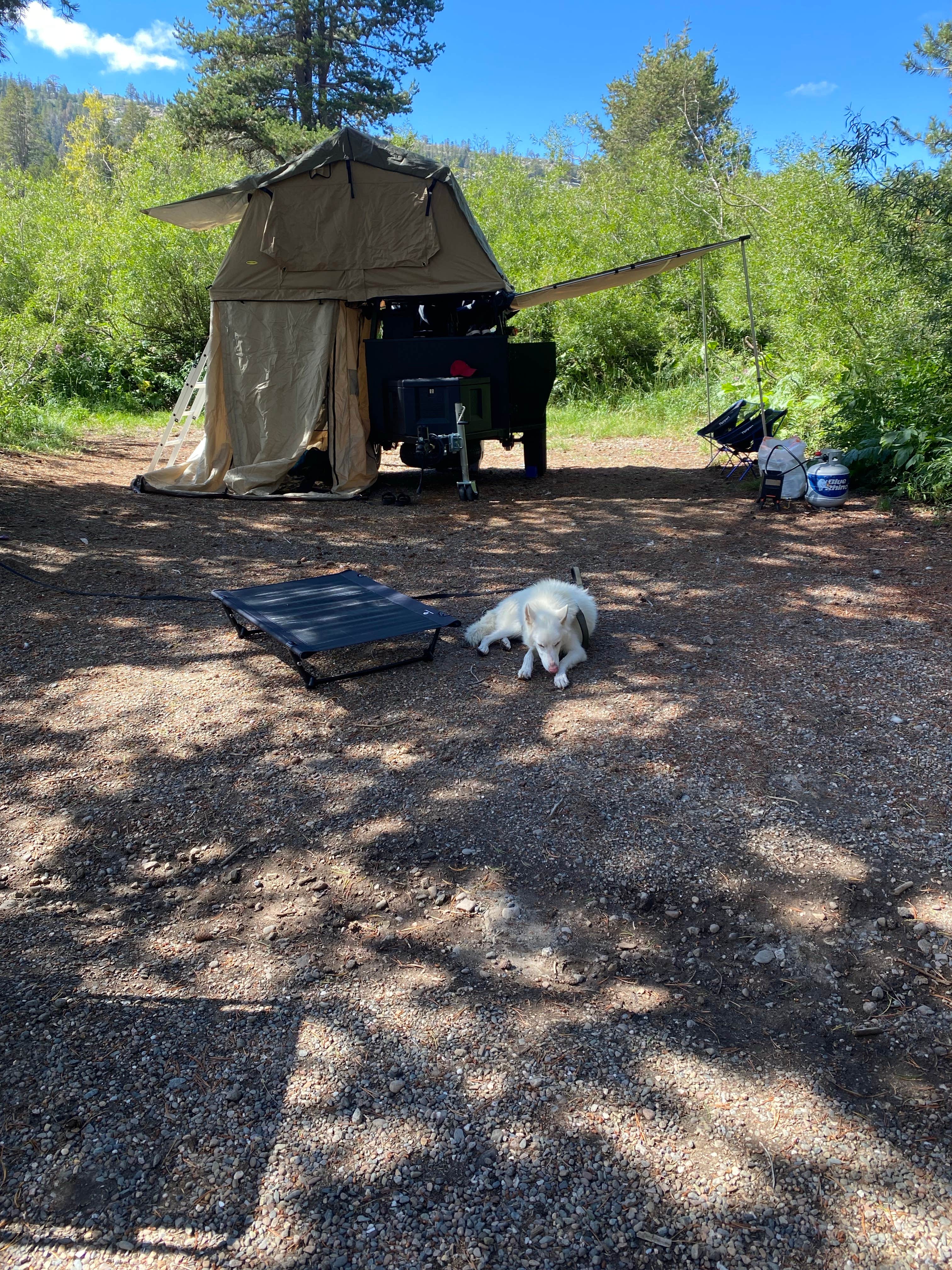 Camping near Sugar Pine Point Campground: Plasses Resort, Kit Carson, California