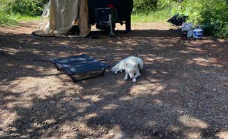 kaela L.'s photo at Plasses Resort near Eldorado National Forest