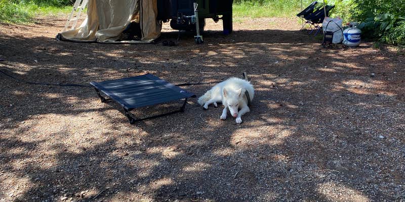 Camper submitted image from Plasses Resort