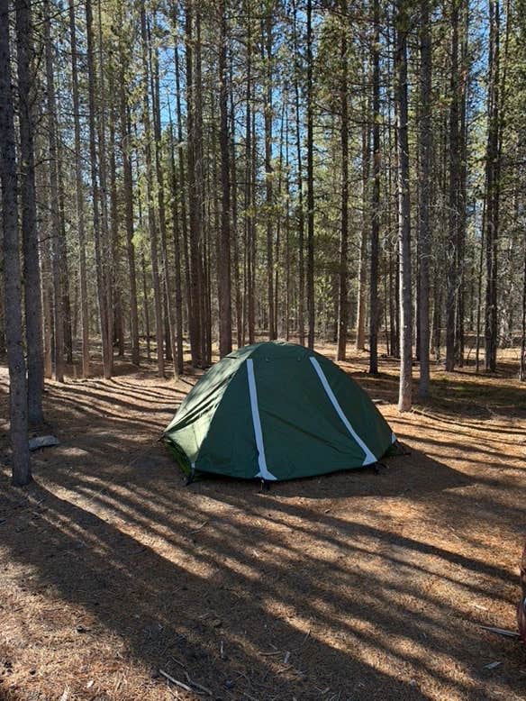 Camper-submitted photo at Plateau Road Dispersed near Macks Inn, ID