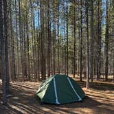 Review photo of Plateau Road Dispersed by Kimberly O., October 10, 2026