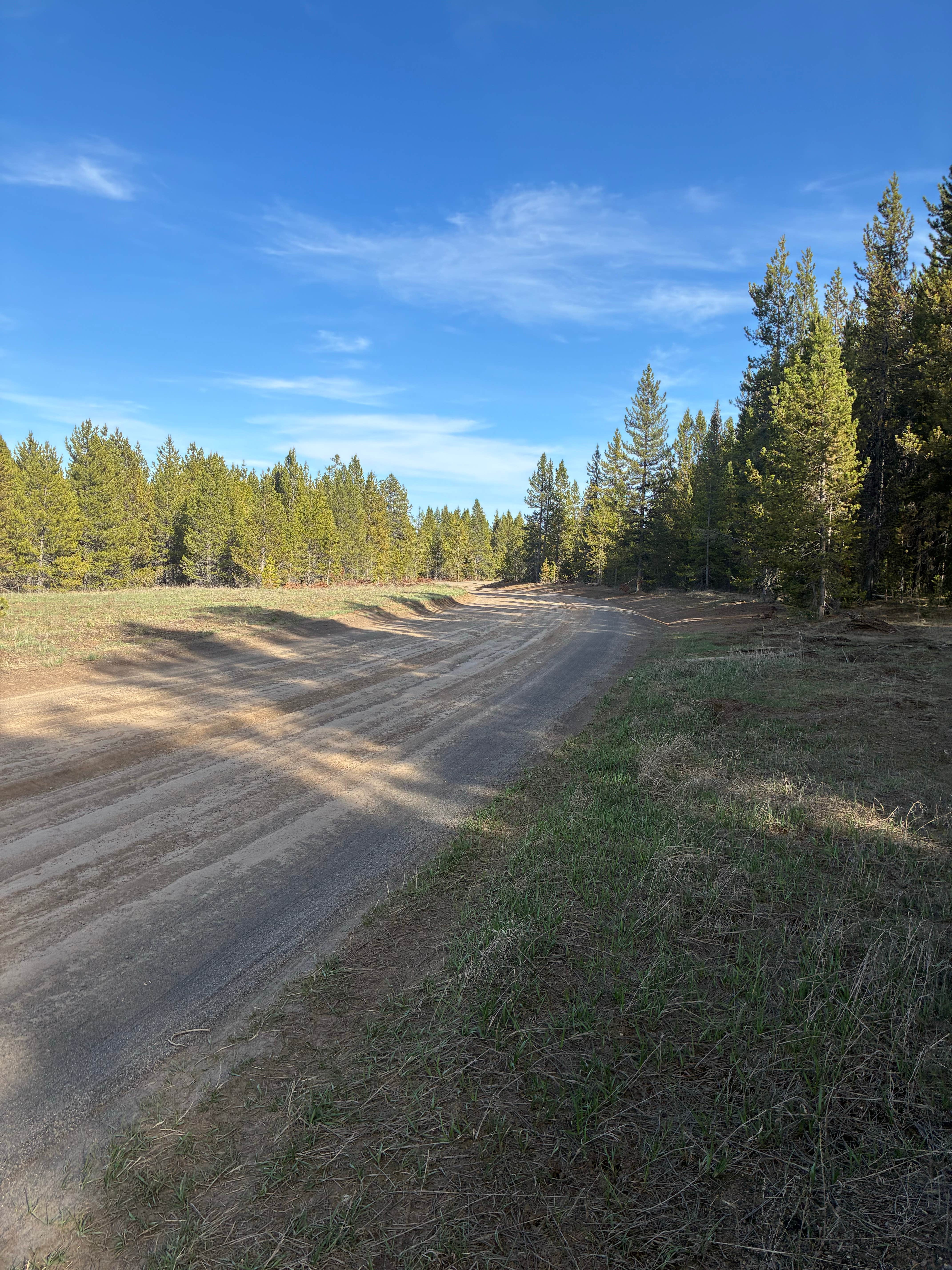 Camper-submitted photo at Plateau Road Dispersed near West Yellowstone, MT