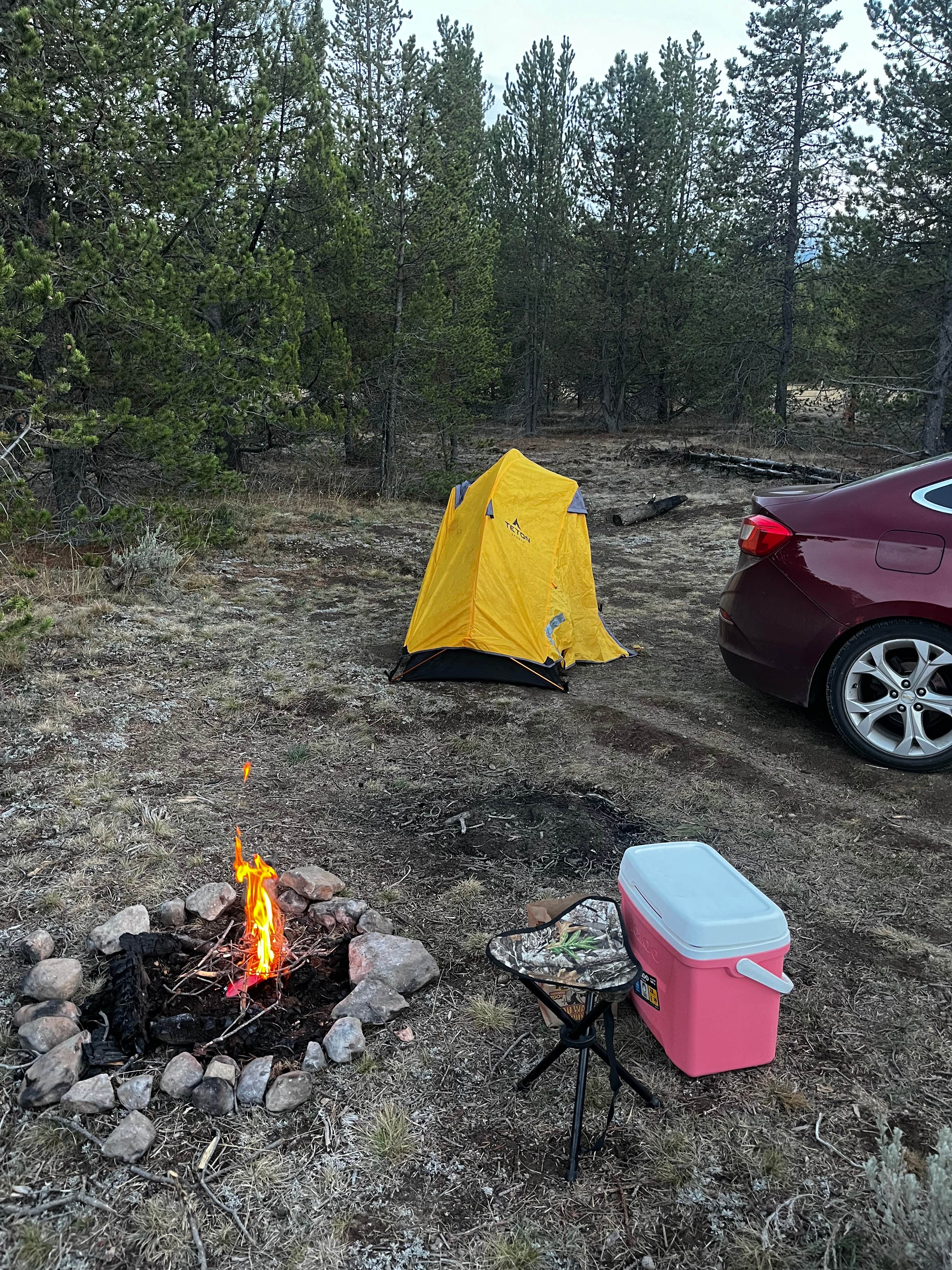 Camper-submitted photo at Plateau Road Dispersed near Macks Inn, ID
