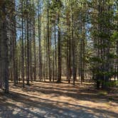 Review photo of Plateau Road Dispersed by Kimberly O., October 10, 2026