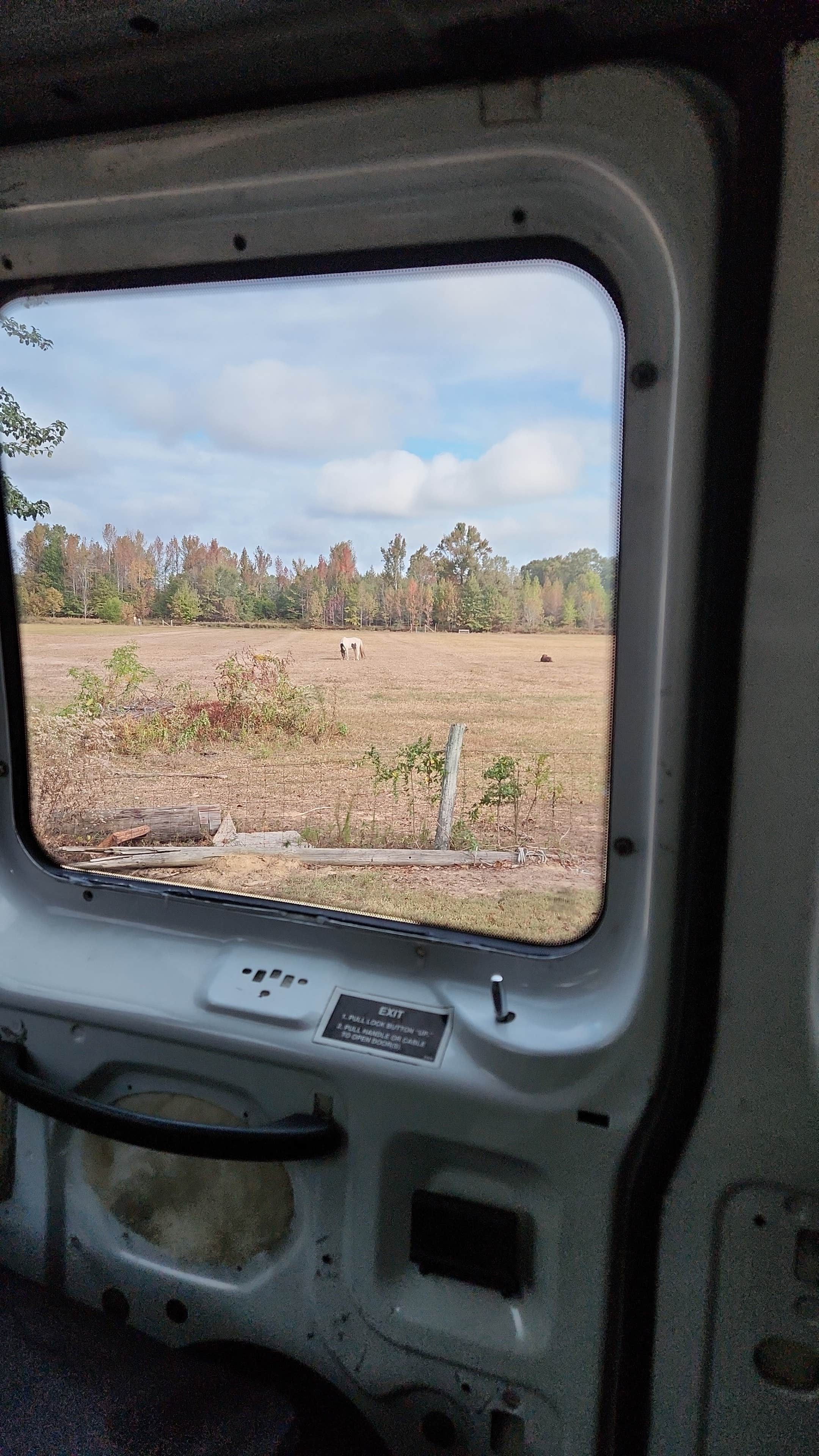 Camper-submitted photo at Plato Branch Farm - Peaceful Acres RV park near Midway, AL
