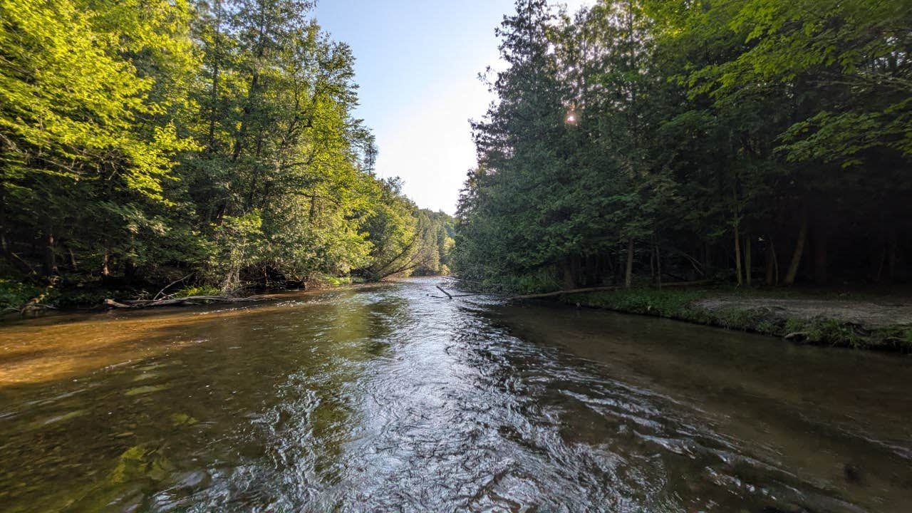 Camper-submitted photo at Platte River State Forest near Frankfort, MI