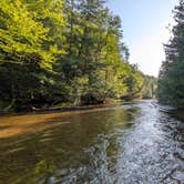 Review photo of Platte River State Forest by Chris G., July 12, 2025