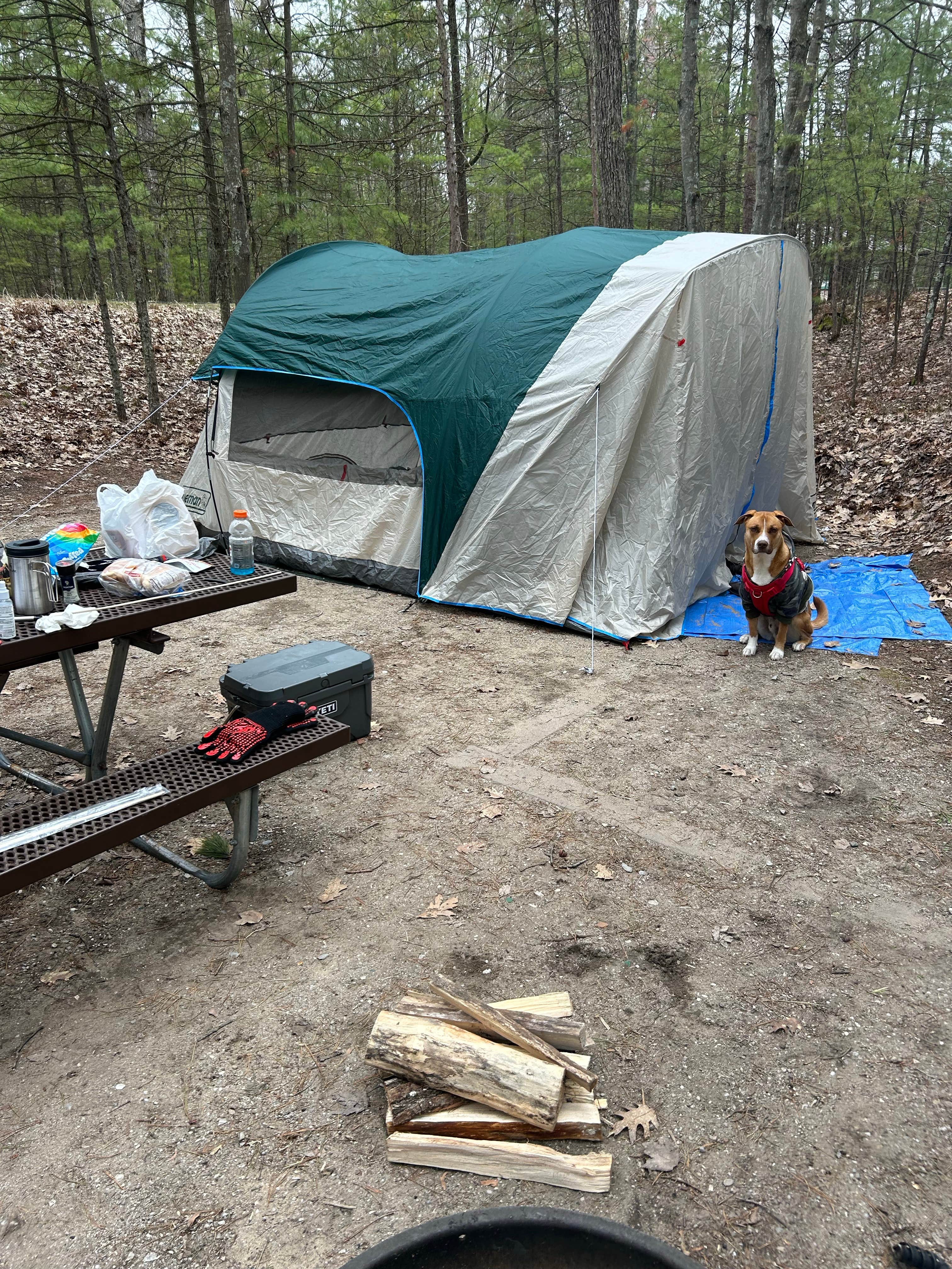 Camper-submitted photo at Platte River State Forest near Frankfort, MI
