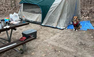 Bryan S.'s photo at Platte River State Forest near Elberta, MI